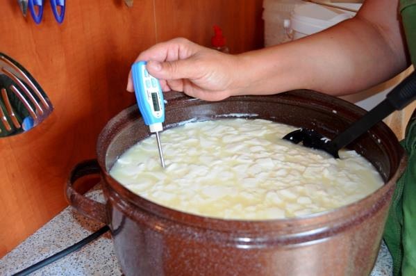 Výroba domácích sýrů